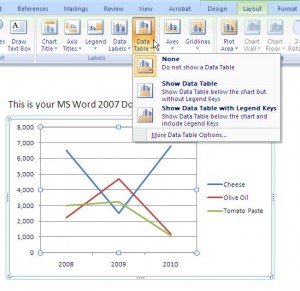 MS-Word-2007-Chart-DATA-TABLE-Options-300×291 | Technical Communication ...