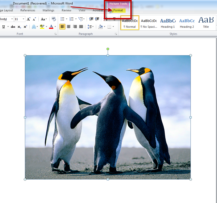 How To Remove The Background Of An Image In A MS Word 2010 Document 