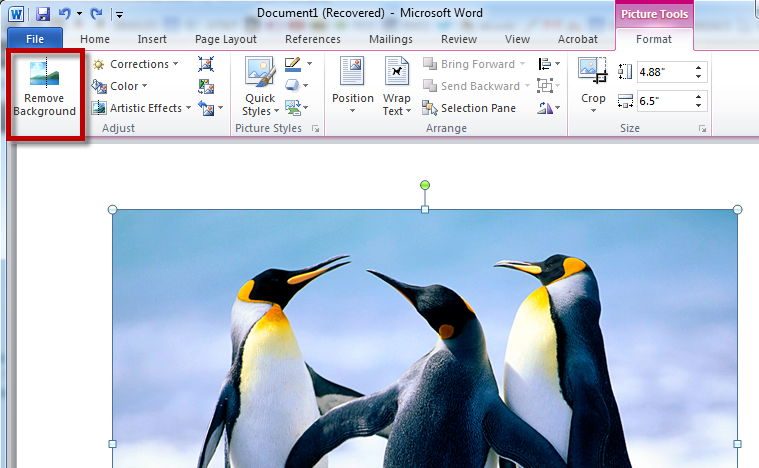 how to delete a document in word 2010