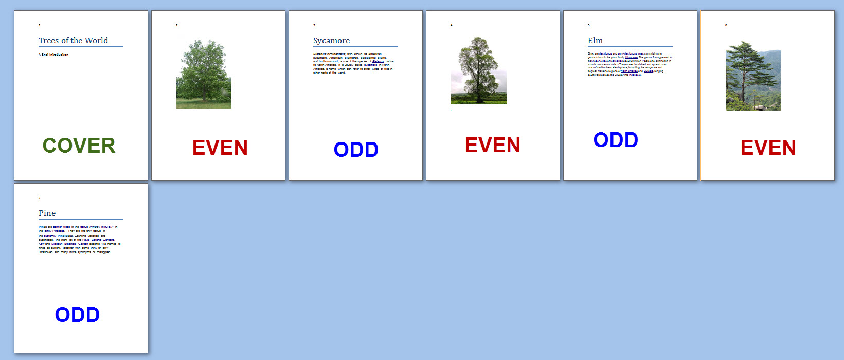 How To Use The Odd Page And Even Page Breaks In MS Word Technical 